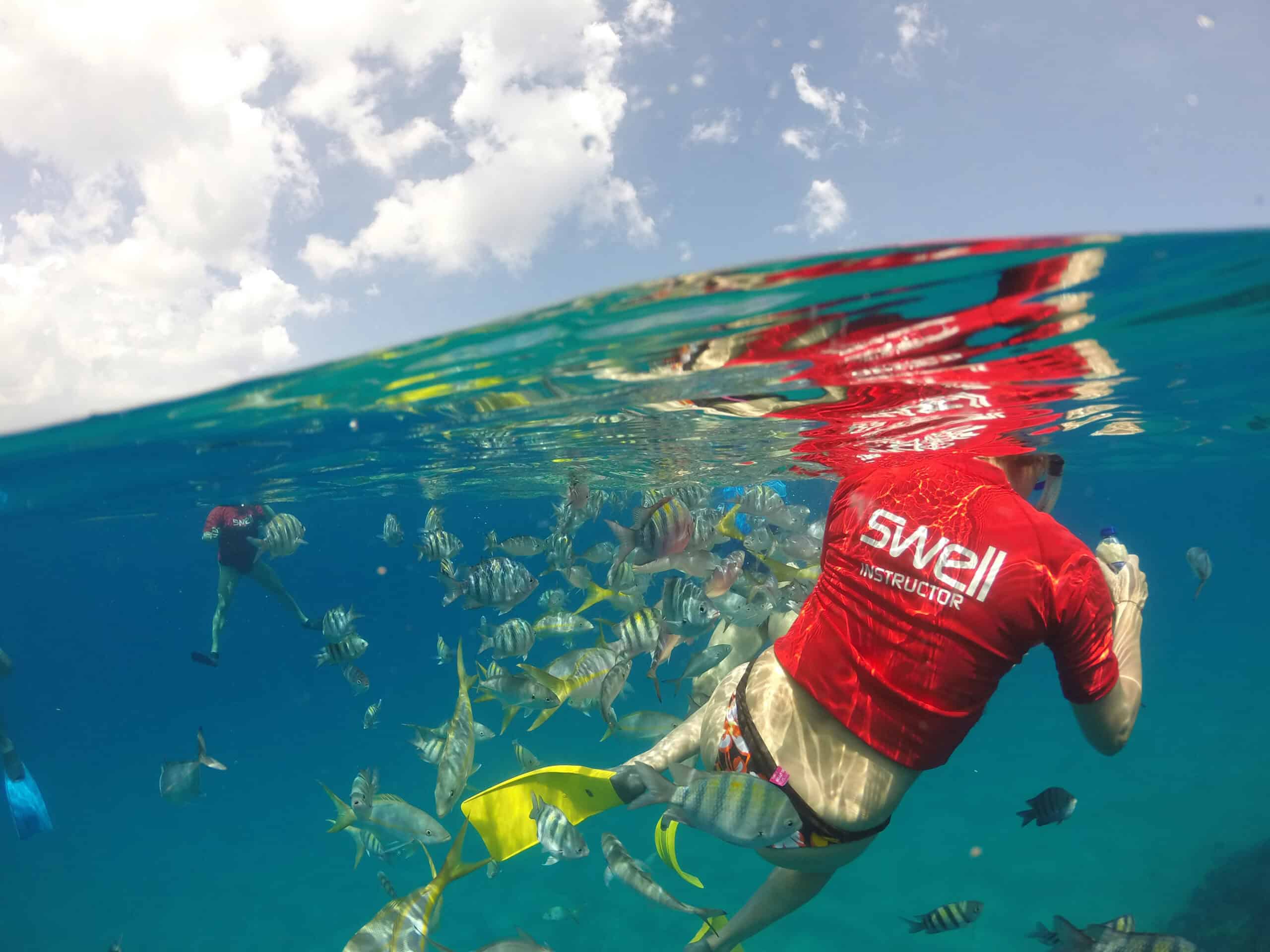 snorkeling trip