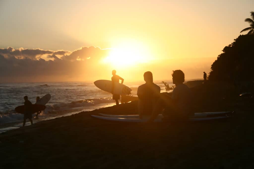 Learning to Surf at Swell: Beginner Surf Retreat