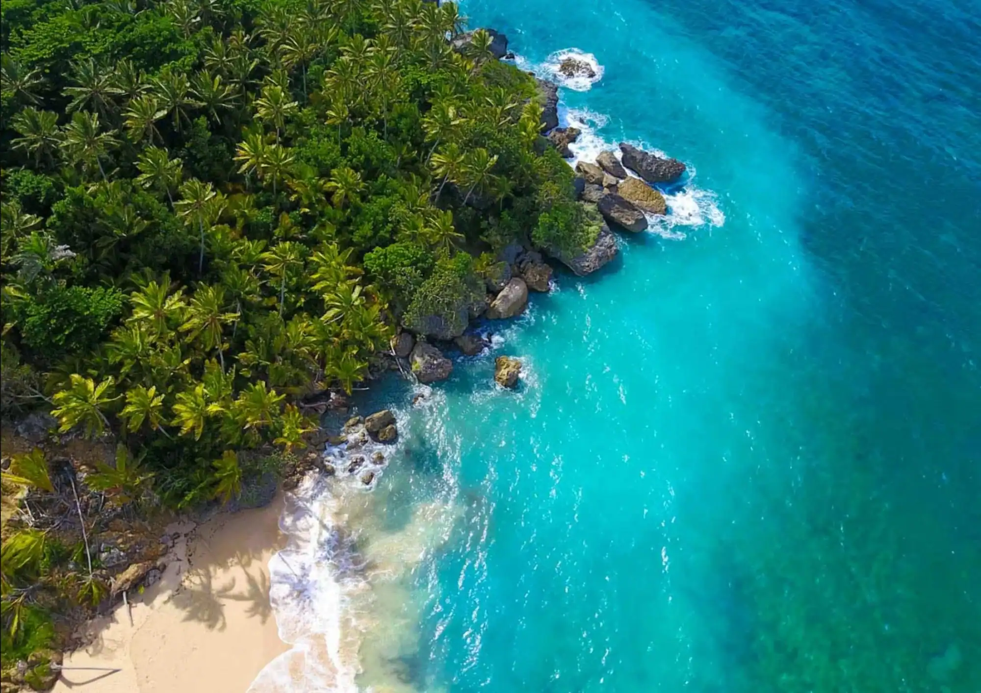 The cove