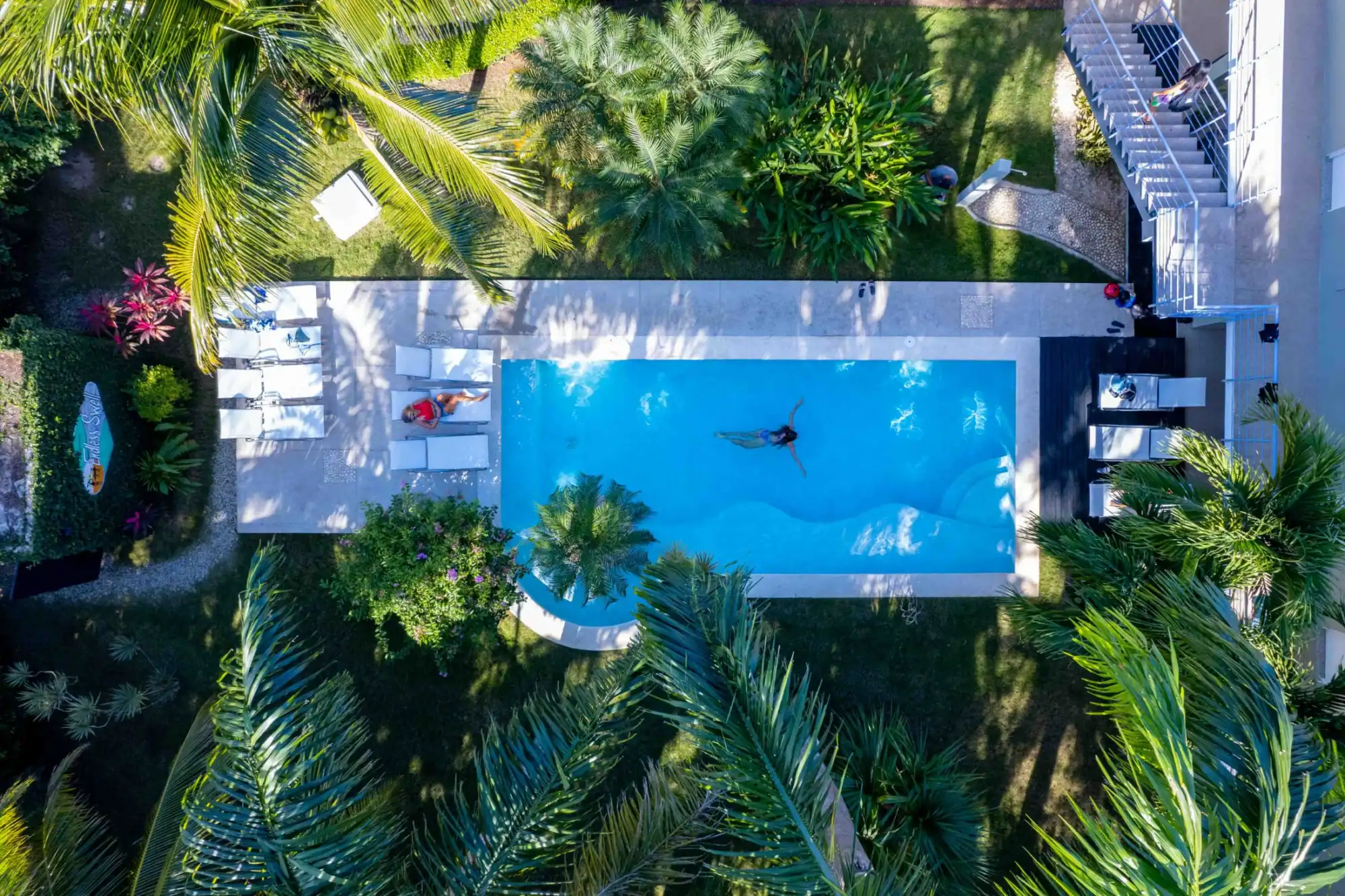 Boutique pool and palms from above