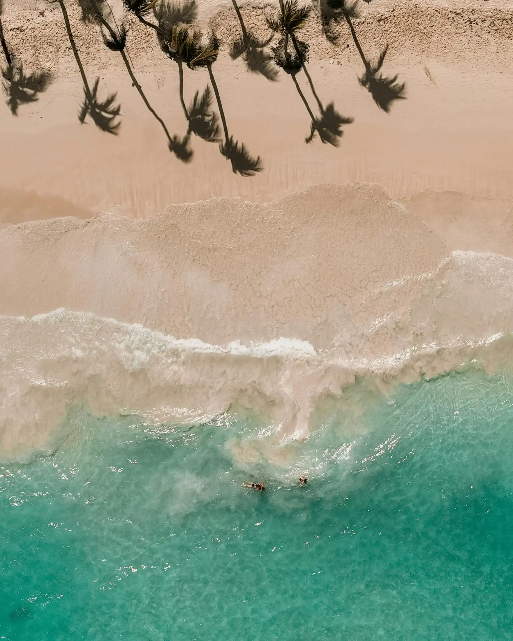 Aerial view of the cove at Swell, Cabarete