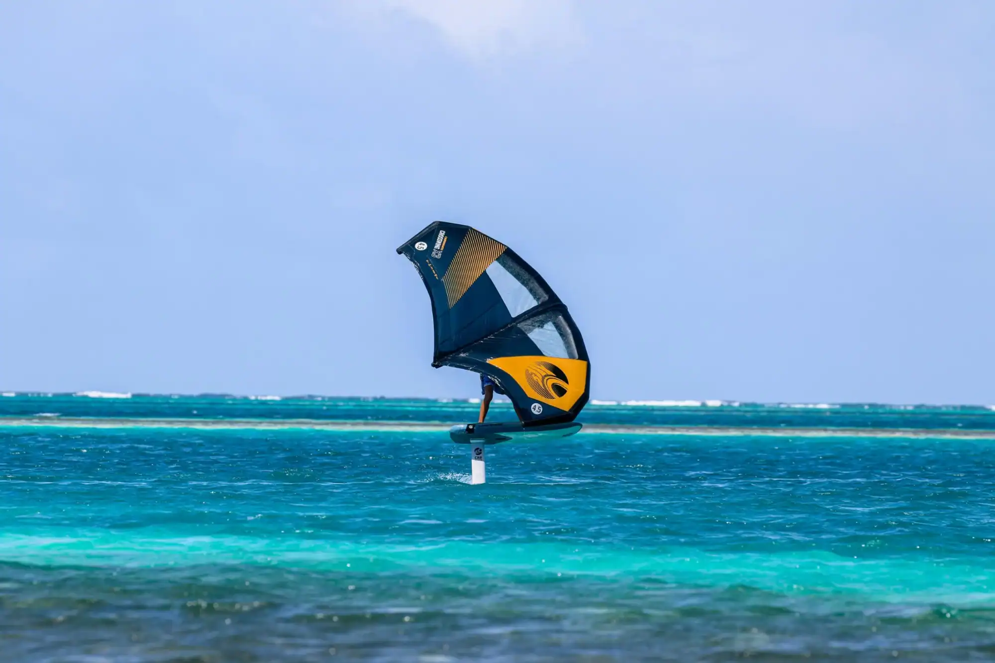 The reef