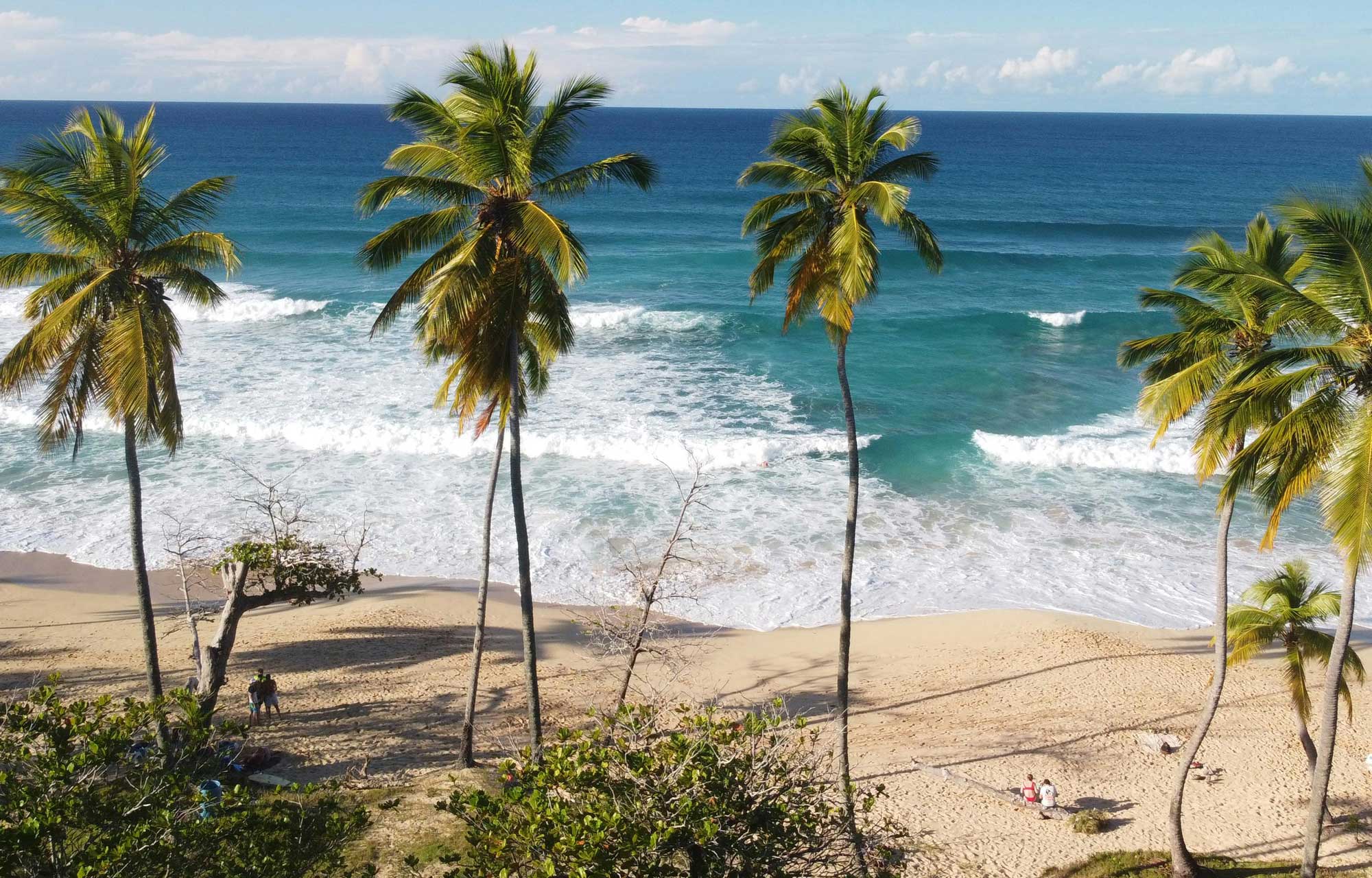 caribbean surf retreat